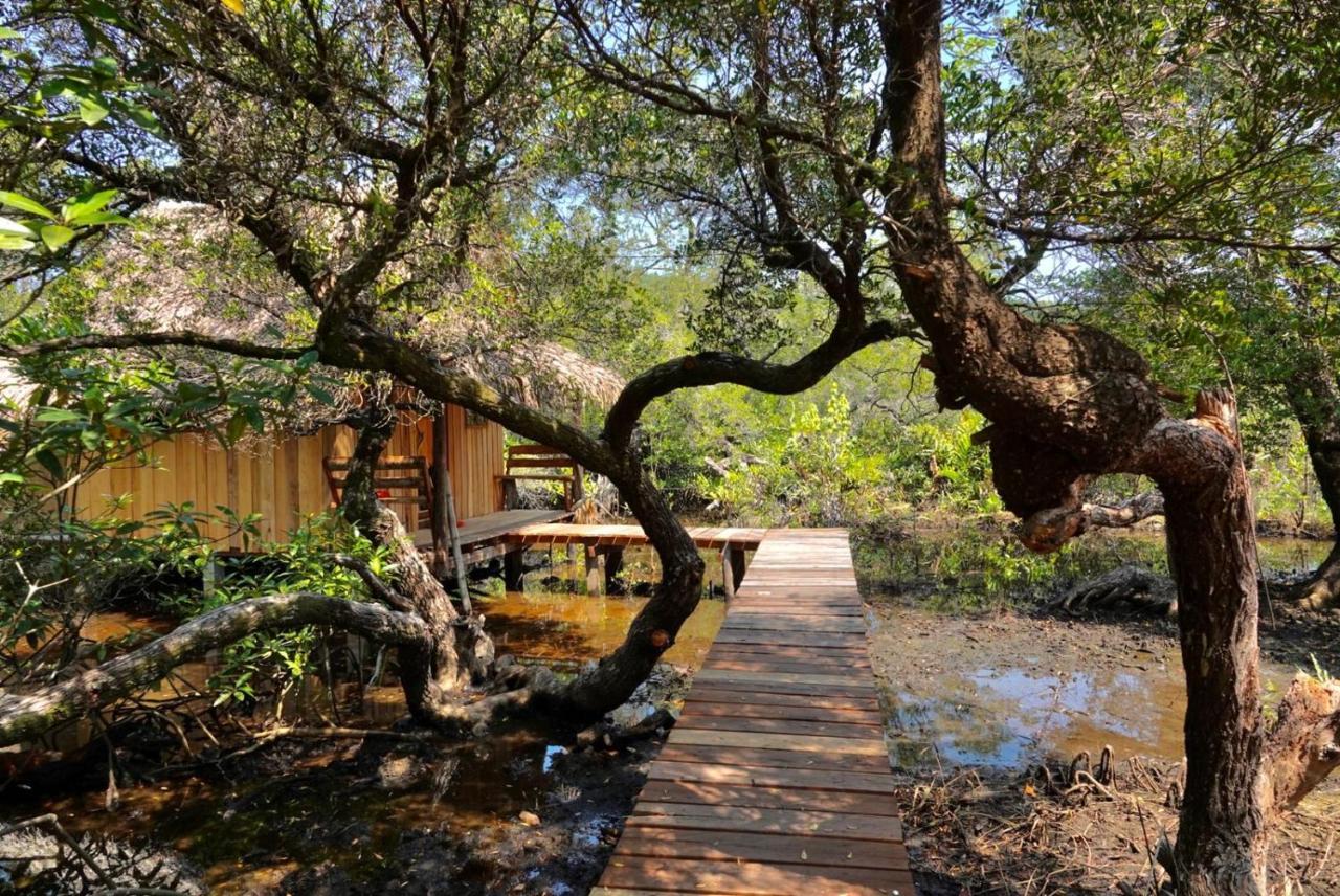 Lily'S Riverhouse Prek Svay Village Esterno foto