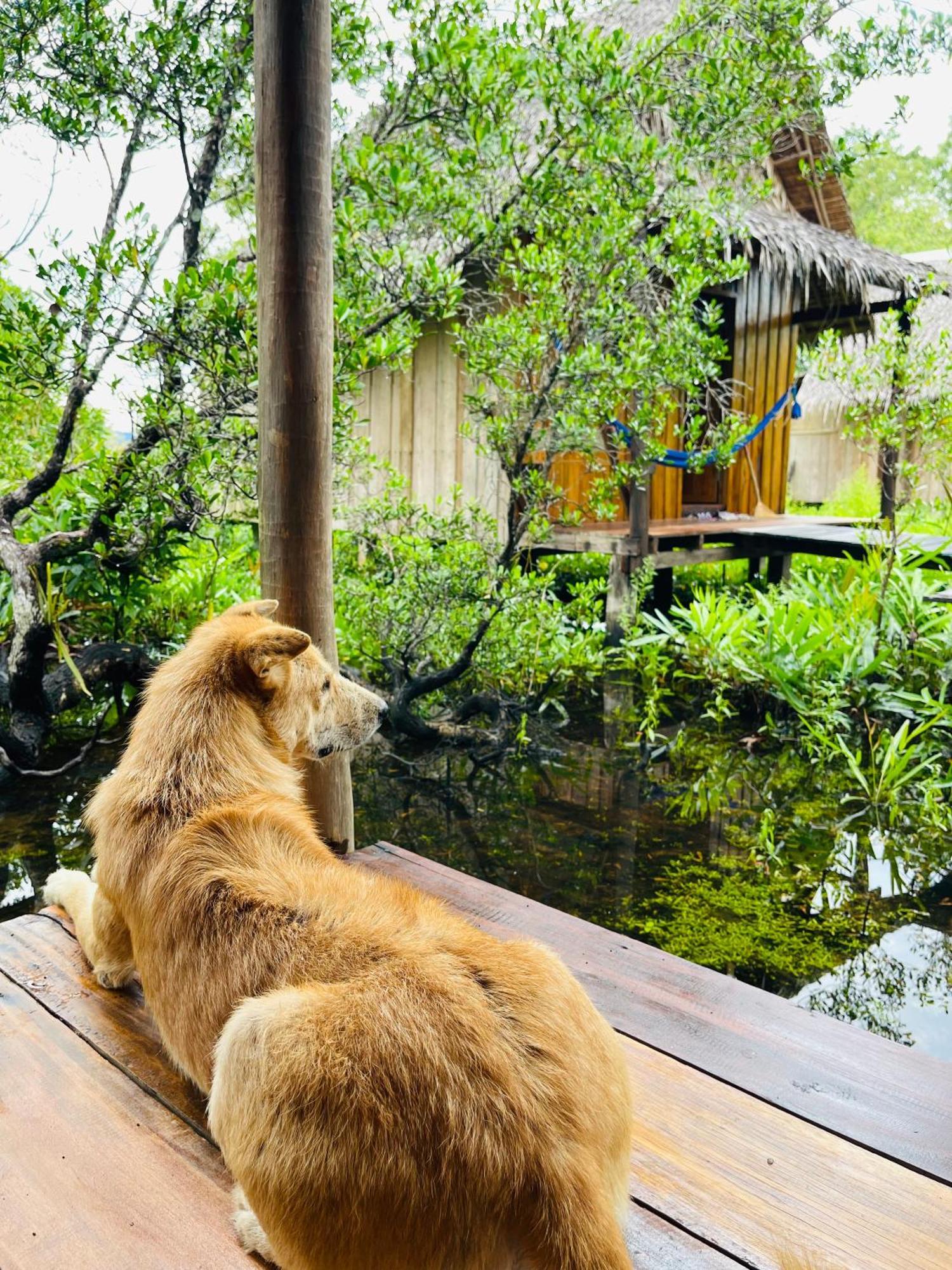 Lily'S Riverhouse Prek Svay Village Esterno foto